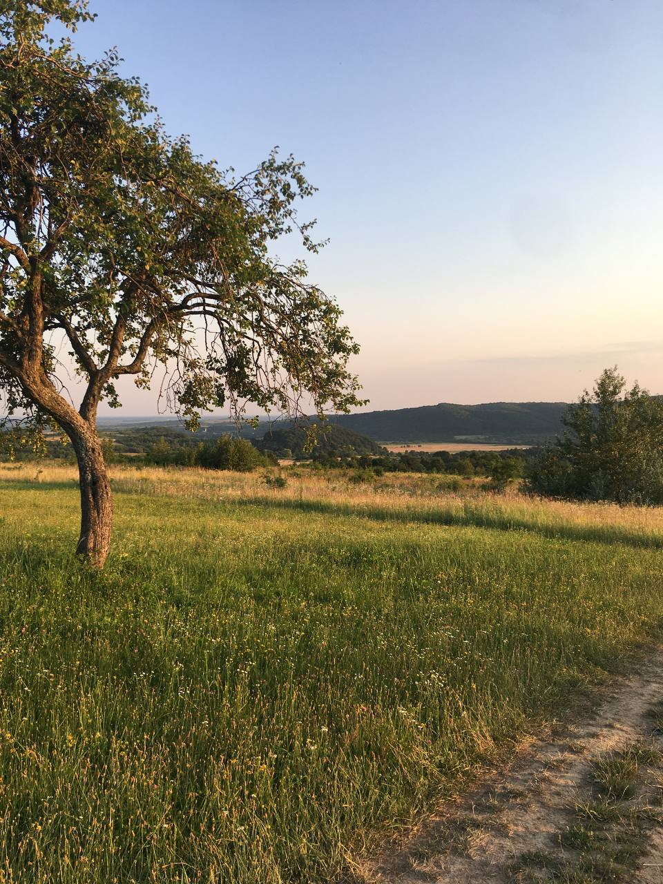 Карпати, десь біля Бургулу